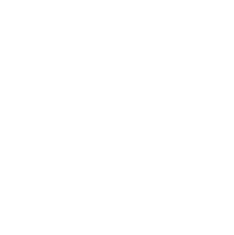 Asura Logo White